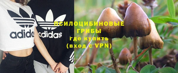 гидропоника Балахна